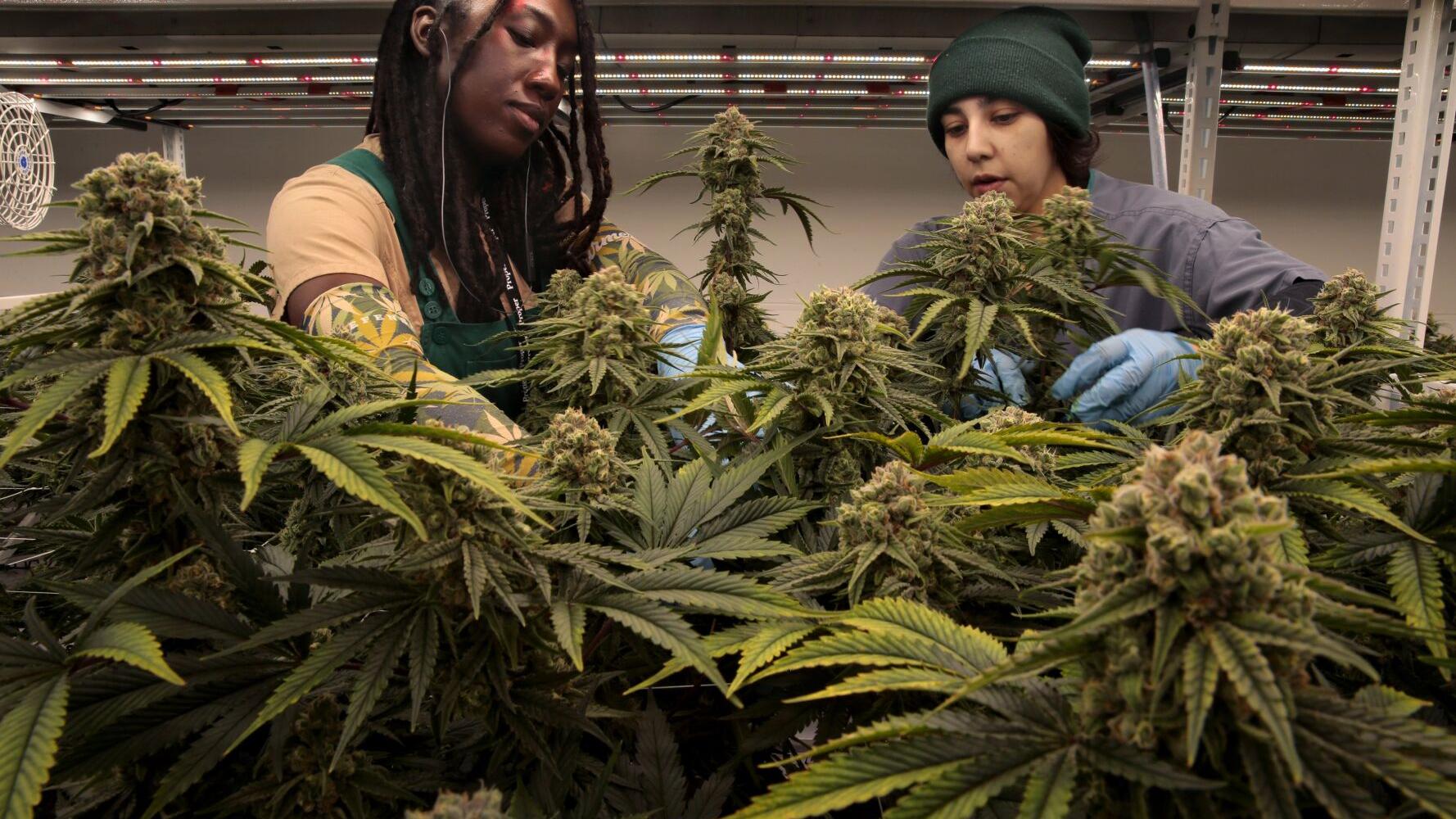 Missouri's Proper Cannabis acquired as part of $397 million deal